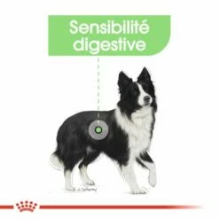 Royal Canin Medium Digestive Care Pour Chien 15 Royal Canin Medium Digestive Care Pour Chien -Aanbiedingen Zooplus Winkel rc ccn digestivemedium cv eretailkit 2 fr fr 9