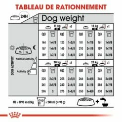 Royal Canin Medium Digestive Care Pour Chien 16 Royal Canin Medium Digestive Care Pour Chien -Aanbiedingen Zooplus Winkel rc ccn digestivemedium cv eretailkit 7 fr fr 5