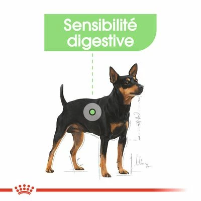 Royal Canin Mini Digestive Care Pour Chien 7 Royal Canin Mini Digestive Care Pour Chien - Afbeelding 7