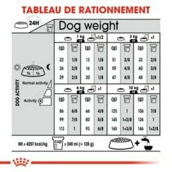 Royal Canin Mini Digestive Care Pour Chien 16 Royal Canin Mini Digestive Care Pour Chien -Aanbiedingen Zooplus Winkel rc ccn digestivemini cv eretailkit 7 fr fr 2