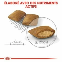 Royal Canin Mini Exigent Pour Chien -Aanbiedingen Zooplus Winkel rc ccn exigentmini cv eretailkit 5 fr fr 6