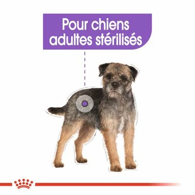 Royal Canin Mini Sterilised Pour Chien 7 Royal Canin Mini Sterilised Pour Chien - Afbeelding 7