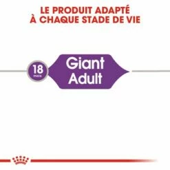 Royal Canin Giant Adult Pour Chien -Aanbiedingen Zooplus Winkel rc shn adultgiant cv eretailkit 1 fr fr 9
