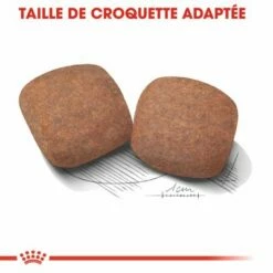 Royal Canin Giant Adult Pour Chien -Aanbiedingen Zooplus Winkel rc shn adultgiant cv eretailkit 3 fr fr 9