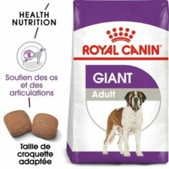 Royal Canin Giant Adult Pour Chien