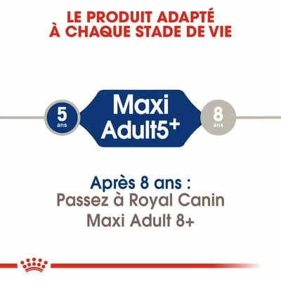Royal Canin Maxi Adult 5+ Pour Chien 5 Royal Canin Maxi Adult 5+ Pour Chien - Afbeelding 5
