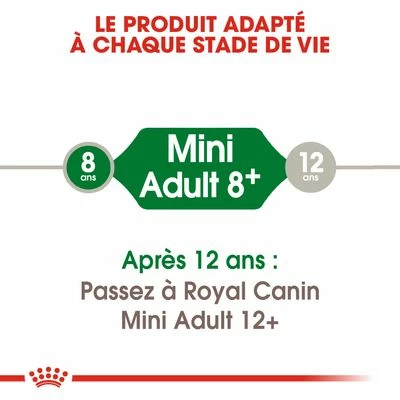 Royal Canin Mini Adult +8 Pour Chien 5 Royal Canin Mini Adult +8 Pour Chien - Afbeelding 5