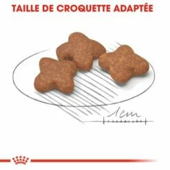 Royal Canin Mini Adult +8 Pour Chien 8 Royal Canin Mini Adult +8 Pour Chien -Aanbiedingen Zooplus Winkel rc shn adultmini8 cv eretailkit 3 fr fr 0