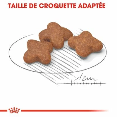 Royal Canin Mini Adult +8 Pour Chien 3 Royal Canin Mini Adult +8 Pour Chien - Afbeelding 3