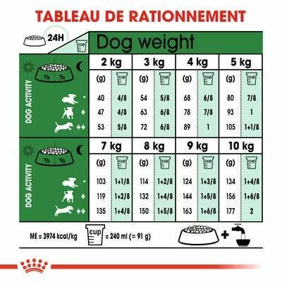 Royal Canin Mini Adult +8 Pour Chien 6 Royal Canin Mini Adult +8 Pour Chien - Afbeelding 6