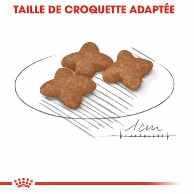 Royal Canin Mini Adult Pour Chien 3 Royal Canin Mini Adult Pour Chien - Afbeelding 3