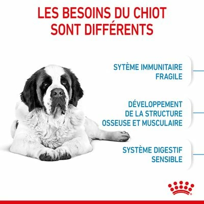 Royal Canin Giant Junior Pour Chiot 5 Royal Canin Giant Junior Pour Chiot - Afbeelding 5