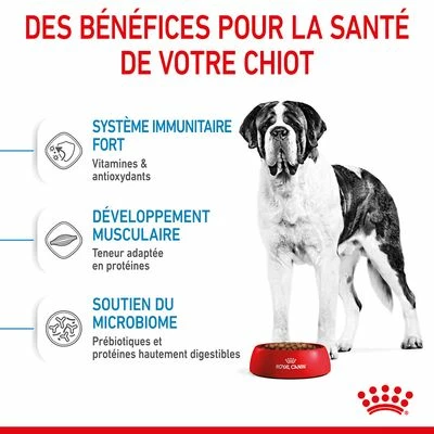 Royal Canin Giant Junior Pour Chiot 4 Royal Canin Giant Junior Pour Chiot - Afbeelding 4