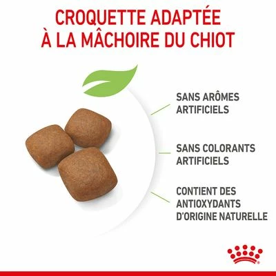 Royal Canin Giant Junior Pour Chiot 6 Royal Canin Giant Junior Pour Chiot - Afbeelding 6