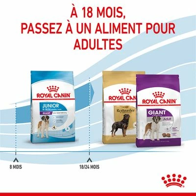 Royal Canin Giant Junior Pour Chiot 10 Royal Canin Giant Junior Pour Chiot - Afbeelding 10