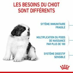 Royal Canin Giant Puppy Pour Chiot 14 Royal Canin Giant Puppy Pour Chiot -Aanbiedingen Zooplus Winkel rc spt dry giantpuppy cv 2 fr fr 1