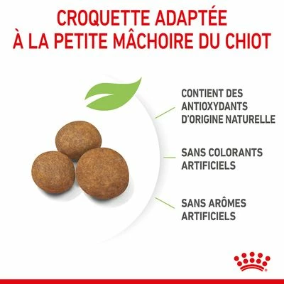 Royal Canin Giant Puppy Pour Chiot 6 Royal Canin Giant Puppy Pour Chiot - Afbeelding 6