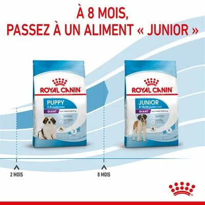 Royal Canin Giant Puppy Pour Chiot 10 Royal Canin Giant Puppy Pour Chiot - Afbeelding 10