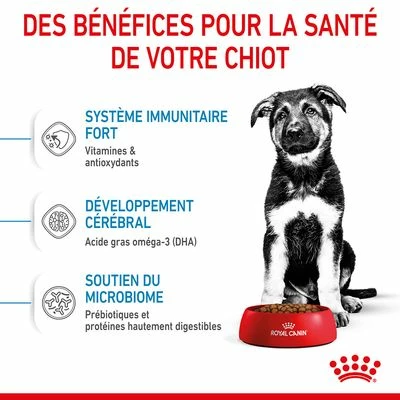 Royal Canin Maxi Puppy Pour Chiot 4 Royal Canin Maxi Puppy Pour Chiot - Afbeelding 4