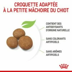 Royal Canin Maxi Puppy Pour Chiot 16 Royal Canin Maxi Puppy Pour Chiot -Aanbiedingen Zooplus Winkel rc spt dry maxipuppy cv 4 fr fr 9