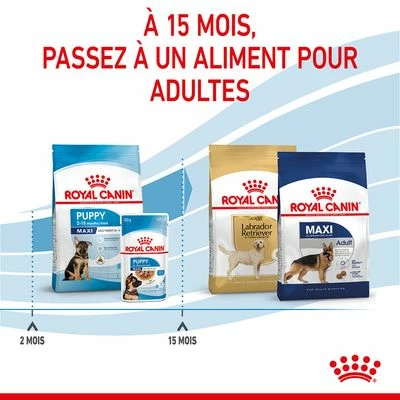 Royal Canin Maxi Puppy Pour Chiot 11 Royal Canin Maxi Puppy Pour Chiot - Afbeelding 11