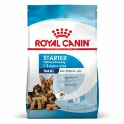 Lot De Croquettes Royal Canin Size Grand Format X 2 24 Lot De Croquettes Royal Canin Size Grand Format X 2 -Aanbiedingen Zooplus Winkel rc spt dry maxistart mv 2 de de 9