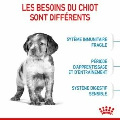 Royal Canin Medium Puppy Pour Chien -Aanbiedingen Zooplus Winkel rc spt dry mediumpuppy cv 2 fr fr 6