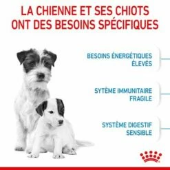 Royal Canin Mini Starter Mother & Babydog Pour Chien 16 Royal Canin Mini Starter Mother & Babydog Pour Chien -Aanbiedingen Zooplus Winkel rc spt dry ministart cv 2 fr fr 8