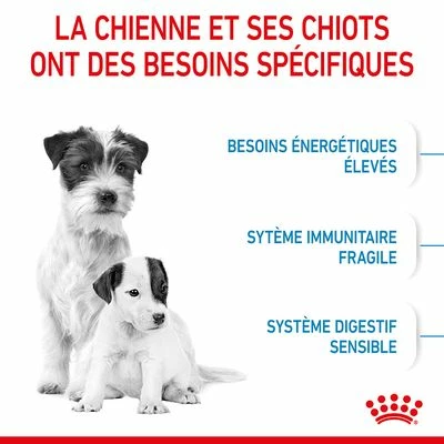 Royal Canin Mini Starter Mother & Babydog Pour Chien 5 Royal Canin Mini Starter Mother & Babydog Pour Chien - Afbeelding 5
