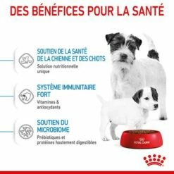 Royal Canin Mini Starter Mother & Babydog Pour Chien 17 Royal Canin Mini Starter Mother & Babydog Pour Chien -Aanbiedingen Zooplus Winkel rc spt dry ministart cv 3 fr fr 7