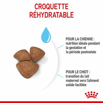 Royal Canin Mini Starter Mother & Babydog Pour Chien 7 Royal Canin Mini Starter Mother & Babydog Pour Chien - Afbeelding 7