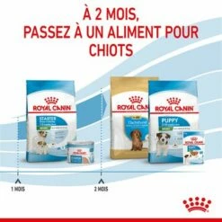 Royal Canin Mini Starter Mother & Babydog Pour Chien 22 Royal Canin Mini Starter Mother & Babydog Pour Chien -Aanbiedingen Zooplus Winkel rc spt dry ministart cv 5 fr fr 4