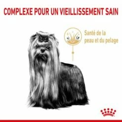 Royal Canin Yorkshire Terrier Adult 8+ Pour Chien -Aanbiedingen Zooplus Winkel rc spt dry york8 cv 1 fr fr 6