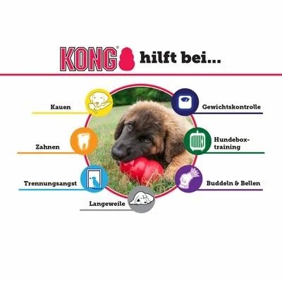 Jouet KONG Aqua Pour Chien 2 Jouet KONG Aqua Pour Chien - Afbeelding 2