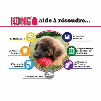 Lot Kong Extreme Pour Chien 6 Lot Kong Extreme Pour Chien - Afbeelding 6