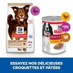 Hill's Science Plan Adult Culinary Creations Medium Canard, Pommes De Terre Pour Chien -Aanbiedingen Zooplus Winkel sp medium adult culinary creations dog food with duck potatoes bk33724m cross sell 9