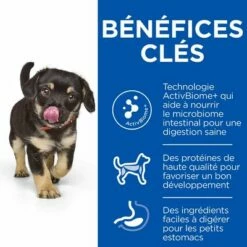 Hill's Science Plan Medium Puppy Perfect Digestion Pour Chiot 8 Hill's Science Plan Medium Puppy Perfect Digestion Pour Chiot -Aanbiedingen Zooplus Winkel sp puppy medium perfect digestion dry chicken bk32807m benefits fr 0