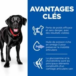 Hill's Science Plan Adult Perfect Weight & Active Mobility Large Poulet Pour Chien 11 Hill's Science Plan Adult Perfect Weight & Active Mobility Large Poulet Pour Chien -Aanbiedingen Zooplus Winkel sp pw am adult dog large chicken bk32938m key benefits fr fr 4