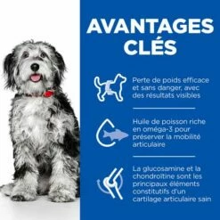 Hill's Science Plan Adult Perfect Weight & Active Mobility Medium Poulet Pour Chien 12 Hill's Science Plan Adult Perfect Weight & Active Mobility Medium Poulet Pour Chien -Aanbiedingen Zooplus Winkel sp pw am adult dog medium chicken bk32439m key benefits fr fr 9